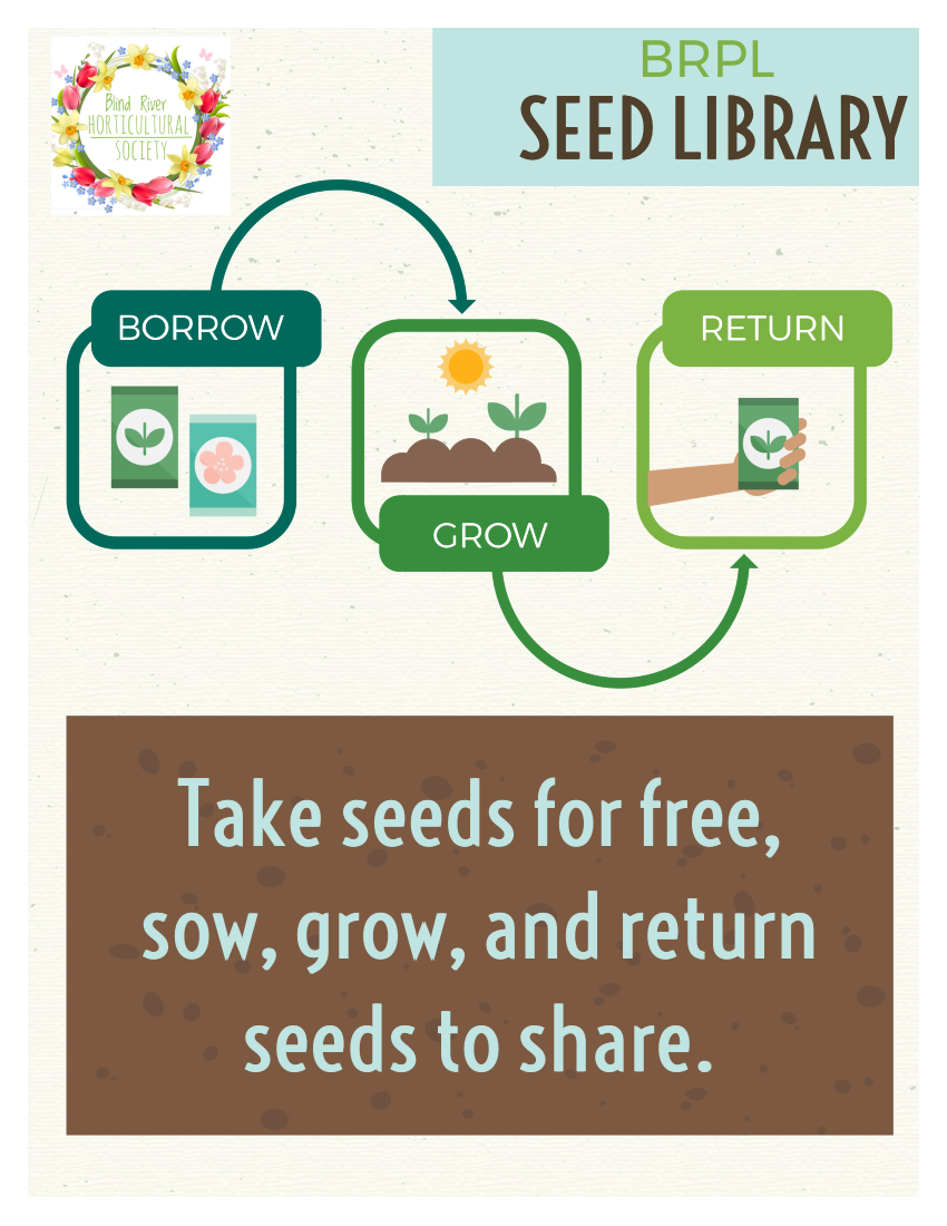 BRPL Seed Library - Take seeds for free, sow, grow, and return seeds to share.
