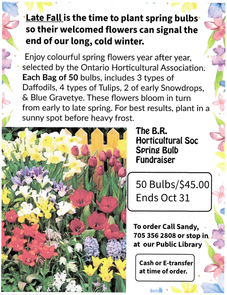 Late Fall is the time to plant spring bulbs so their welcomed flowers can signal the end of our long, cold winter. Enjoy colourful spring flowers year after year, selected by the Ontario Horticultural Association.  Each Bag of 50 bulbs, includes 3 types of Daffodils, 4 types of Tulips, 2 of early Snowdrops & Blue Gravetye. These flowers bloom in turn from early to ate spring. For best results, plant in a sunny spot before heavy frost. The B.R. Horticultural Society Spring Bulb Fundraiser. 50 bulbs/$45.00. Ends Oct. 31. To order Call Sandy, 705-356-2808 or stop in at our Public Library. Cash or E-transfer at time of order.