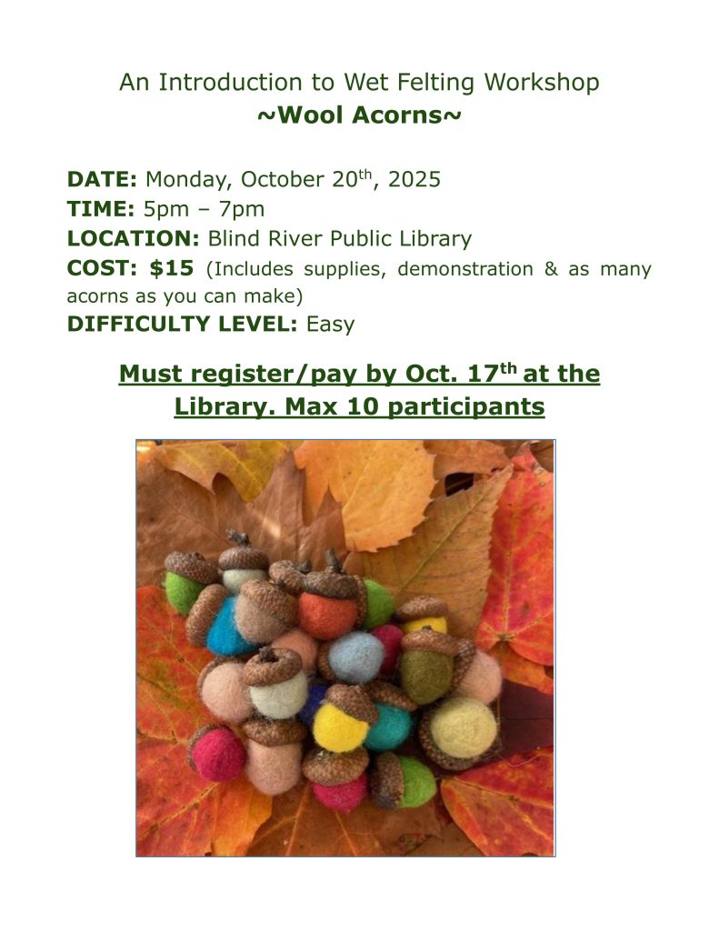 An Introduction to Wet Felting Workshop
~Wool Acorns~

DATE: Monday, October 20th, 2025
TIME: 5pm – 7pm
LOCATION: Blind River Public Library
COST: $15 (Includes supplies, demonstration & as many acorns as you can make)
DIFFICULTY LEVEL: Easy

Must register/pay by Oct. 17th at the Library. Max 10 participants
