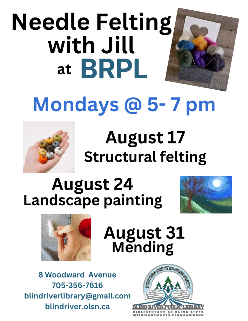 Needle felting with Jill at BRPL
Mondays @ 5-7
August 17 - structural felting
August 24 - landscaping
August 31 - mending
