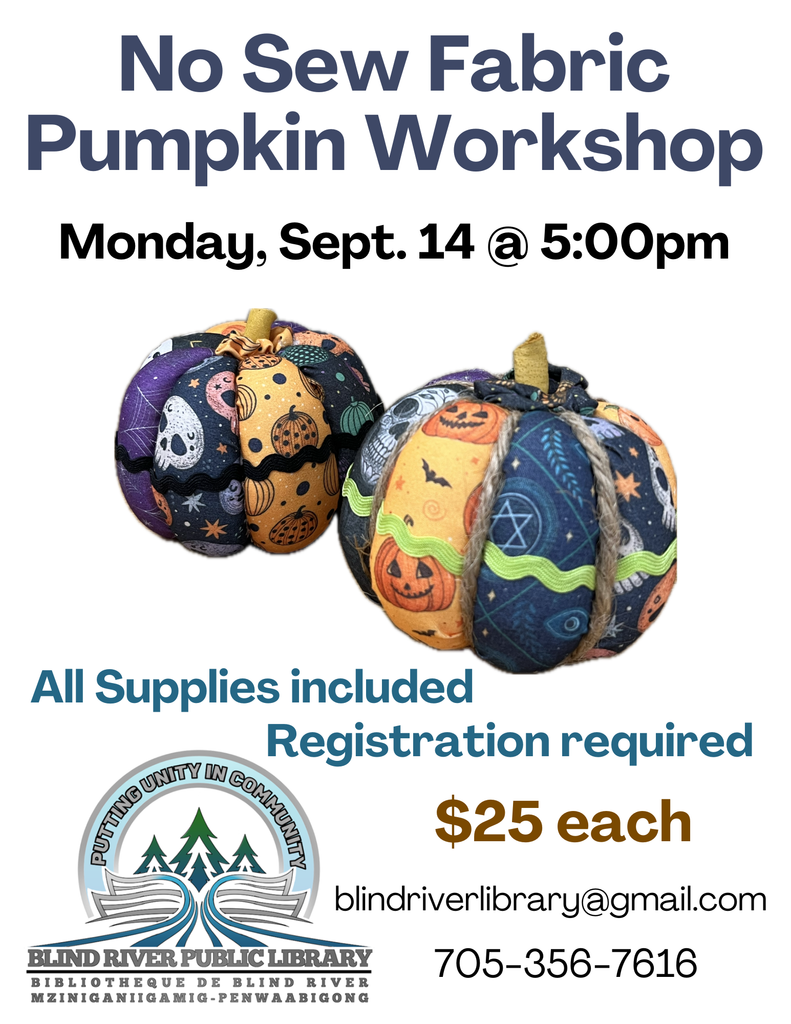 No Sew Fabric Pumpkin Workshop.
Monday, September 14 at 5 pm.
$25 all supplies included. call 705-356-7616 to register.